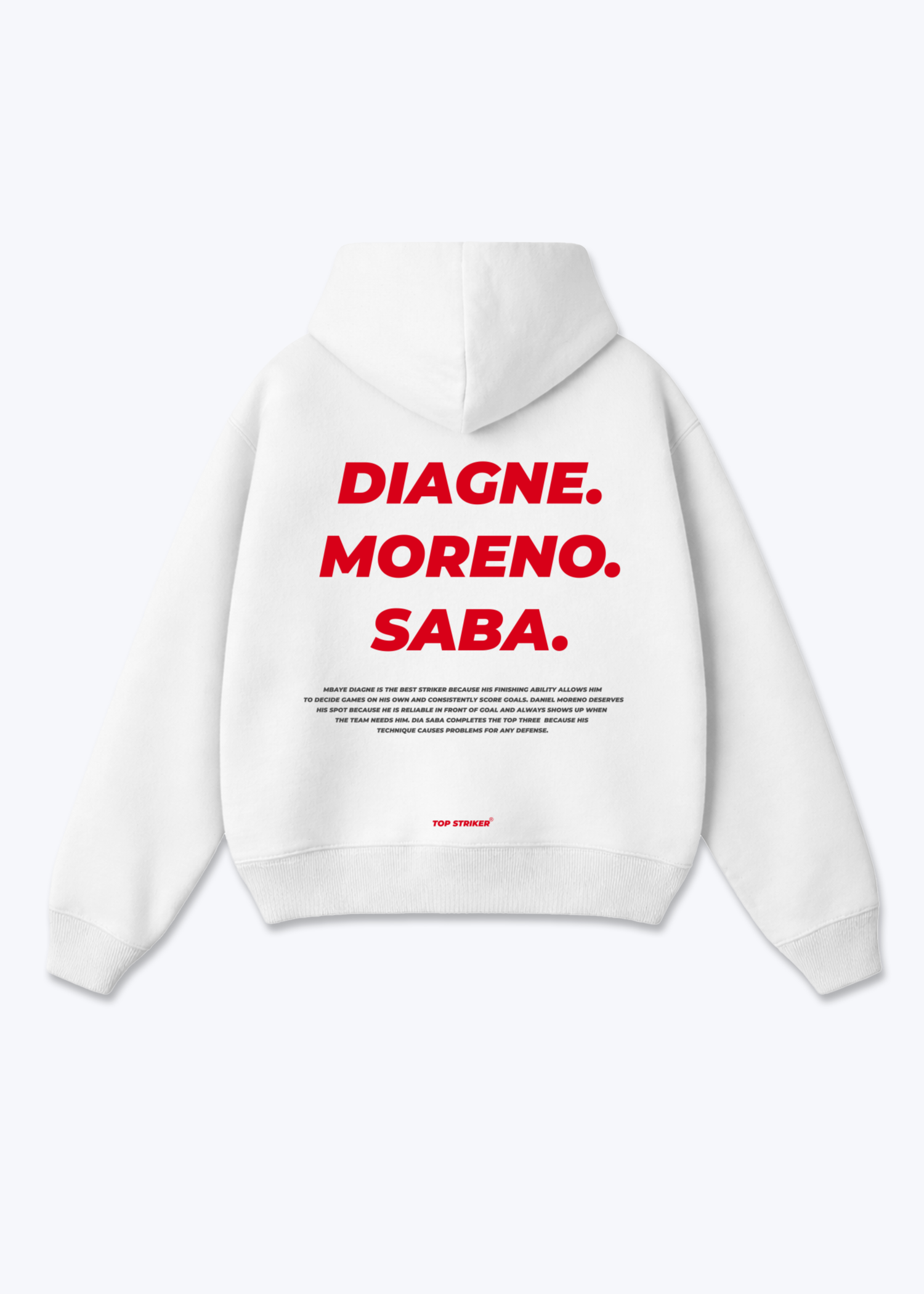 Amedspor Stürmer Oversized Hoodie - White Back (Designed)